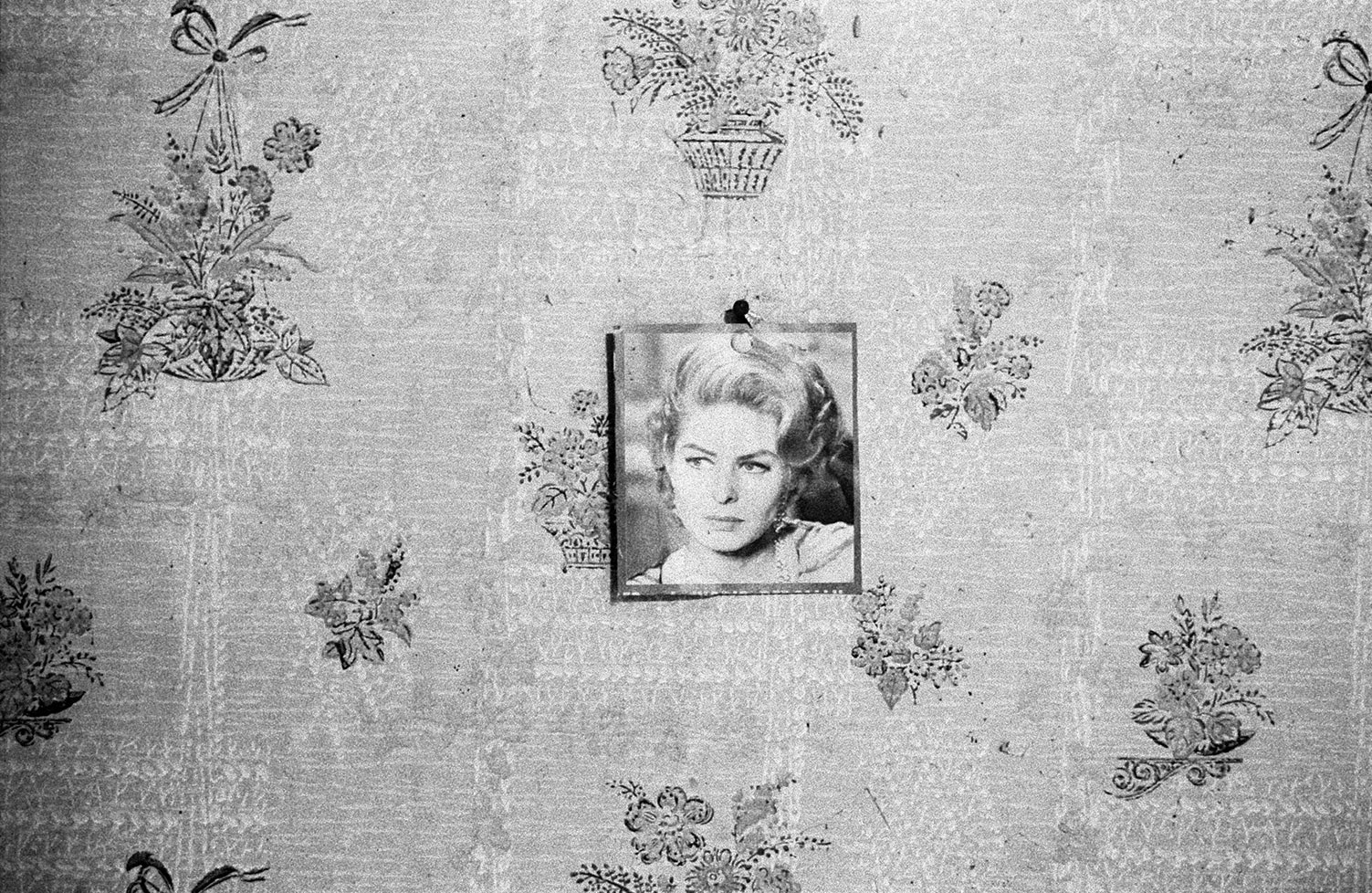 man_haller_i_kosvans