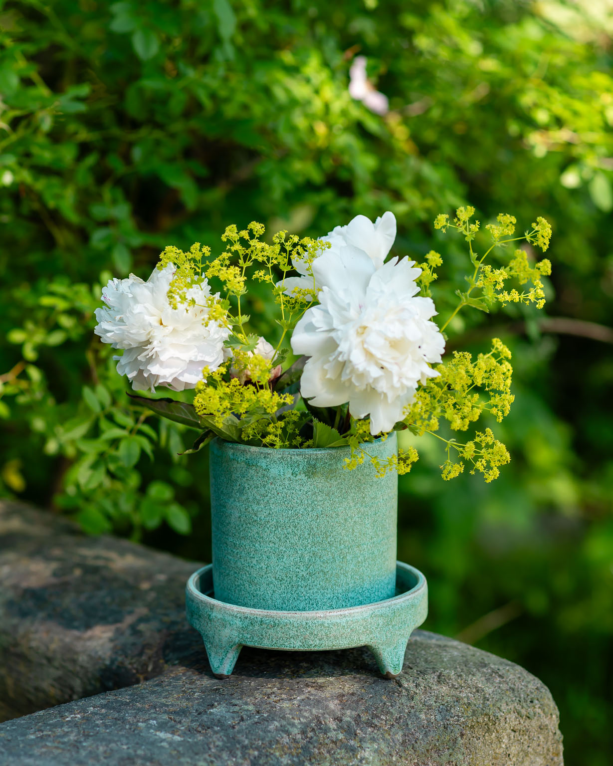 Cylinderkruka av Elna-Karin i trädgården.