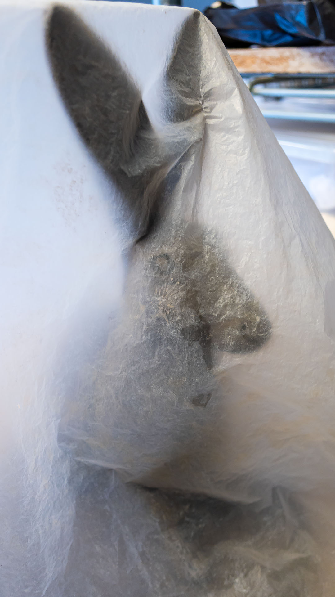 Hare på tork. Elna-Karins keramikverkstad.