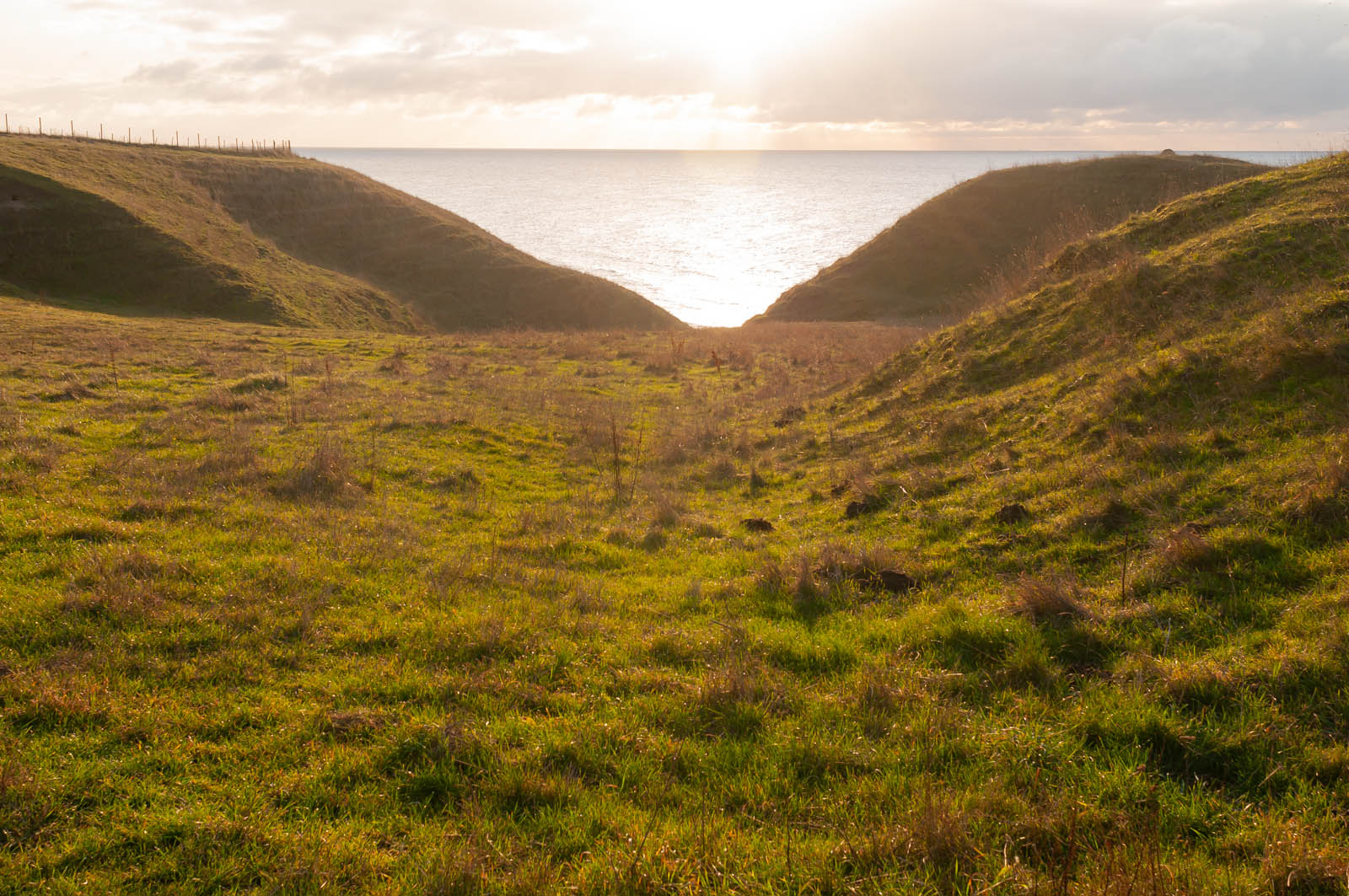 Kåsebergaåsen, solen och havet.x