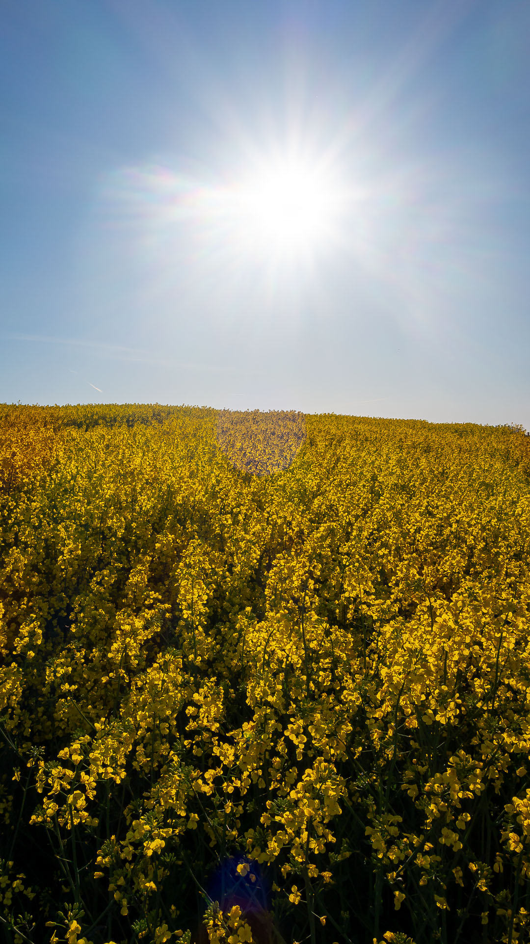 Raps på Kåsebergaåsen