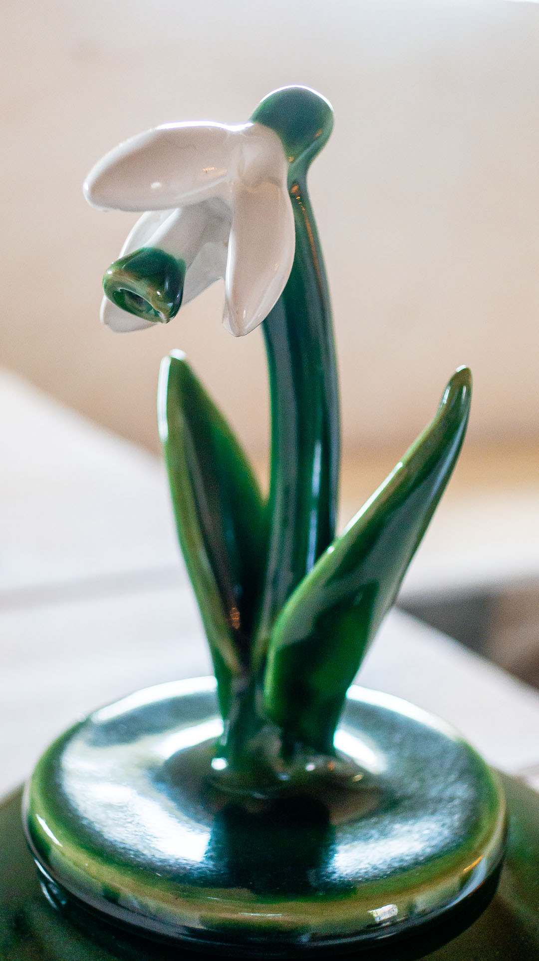 Snödroppe på lock.