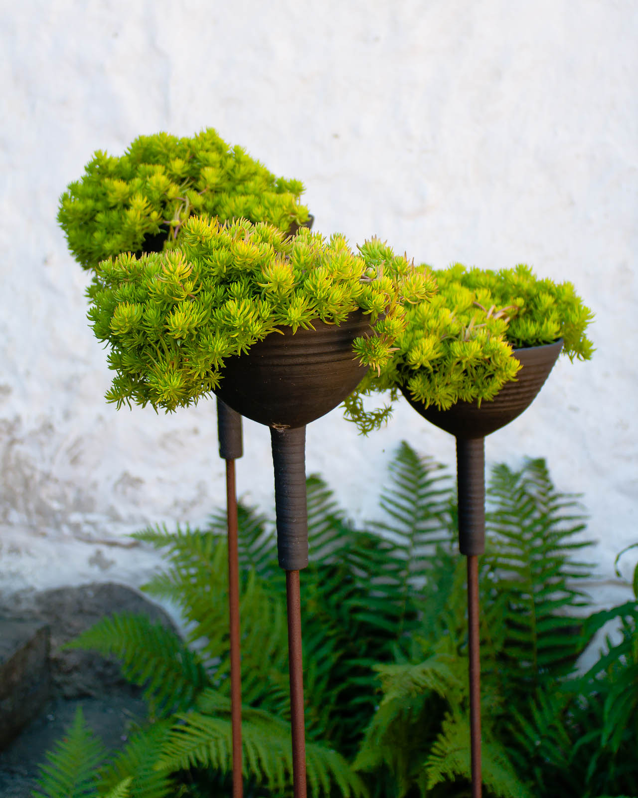 Innergården på Lejongården.