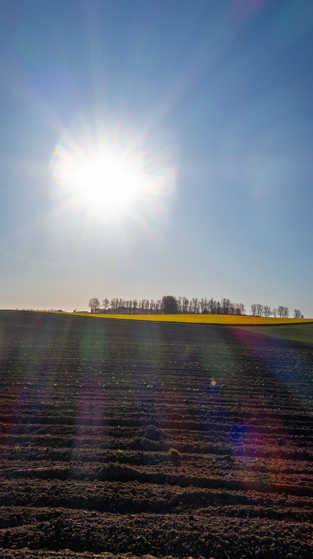Vår på Kåsebergaåsen.