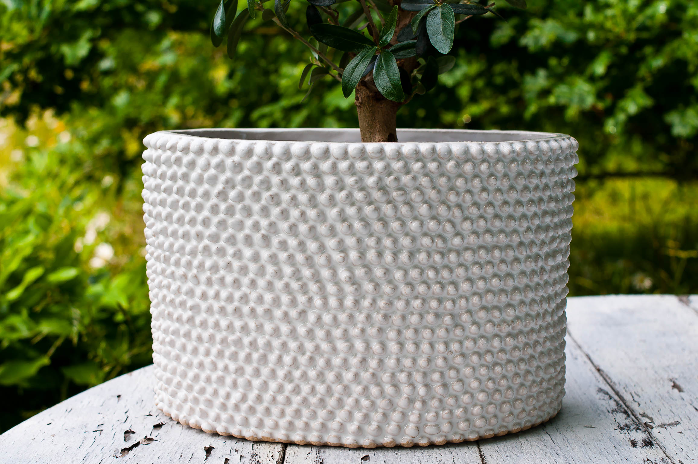 Växtkärl av Elna-Karin i trädgården.